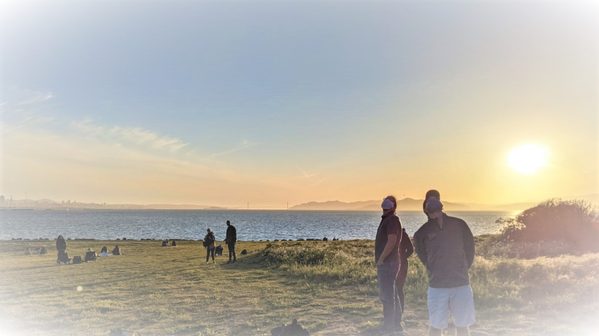 Illustration of an eye